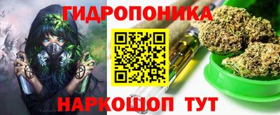 гидропоника Краснокаменск