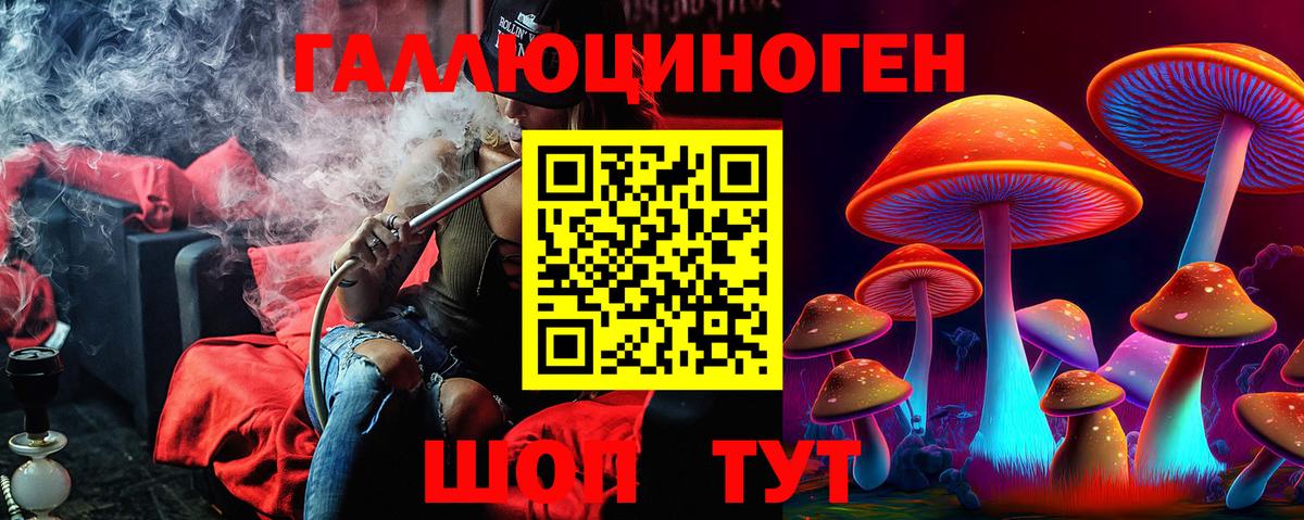 Псилоцибиновые грибы Psilocybe Гусев