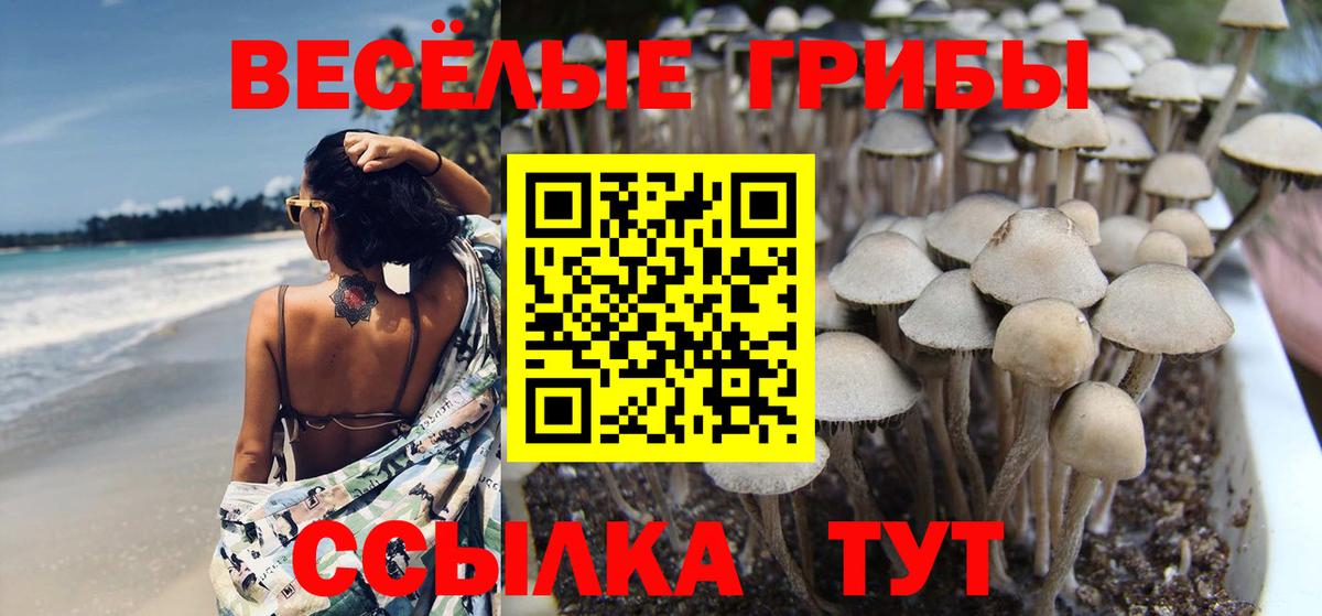Гусев  Галлюциногенные грибы Cubensis  Вход с VPN  где купить наркотик  Псилоцибиновые грибы Magic Shrooms 