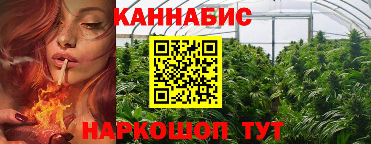 Гусев  Канабис ГИДРОПОН  Конопля сатива  Вход с VPN  Канабис AK-47  Канабис сатива 